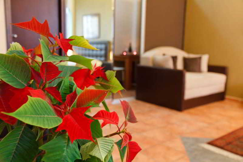 Knez Apartamento Belgrado Exterior foto
